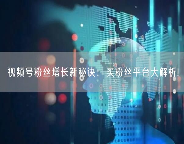 视频号粉丝增长新秘诀：买粉丝平台大解析!