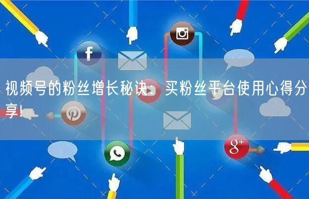 视频号的粉丝增长秘诀：买粉丝平台使用心得分享!