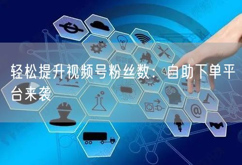 轻松提升视频号粉丝数:自助下单平台来袭