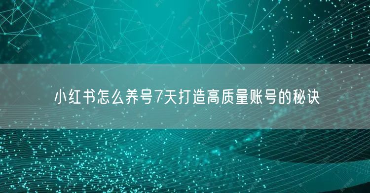 小红书怎么养号7天打造高质量账号的秘诀