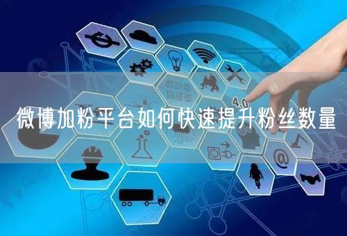 微博加粉平台如何快速提升粉丝数量