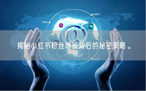 揭秘小红书粉丝增长背后的秘密策略。