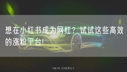 想在小红书成为网红?试试这些高效的涨粉平台!
