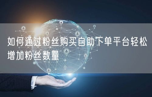如何通过粉丝购买自助下单平台轻松增加粉丝数量