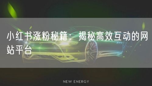 小红书涨粉秘籍：揭秘高效互动的网站平台