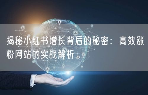 揭秘小红书增长背后的秘密：高效涨粉网站的实战解析。