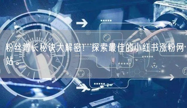 粉丝增长秘诀大解密！探索最佳的小红书涨粉网站。
