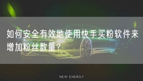 如何安全有效地使用快手买粉软件来增加粉丝数量？