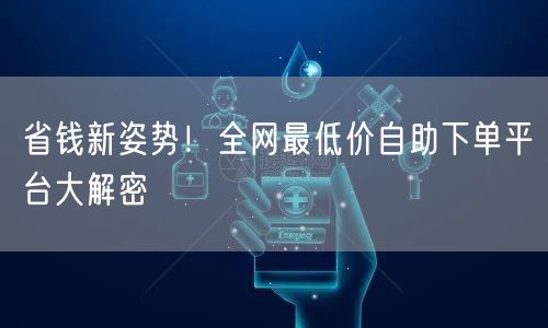 省钱新姿势！全网最低价自助下单平台大解密
