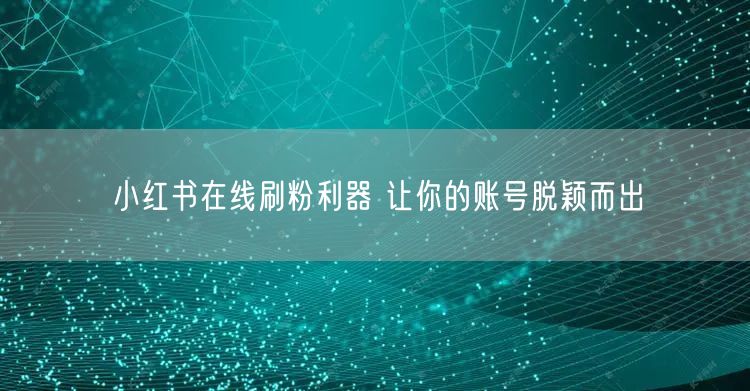 小红书在线刷粉利器 让你的账号脱颖而出