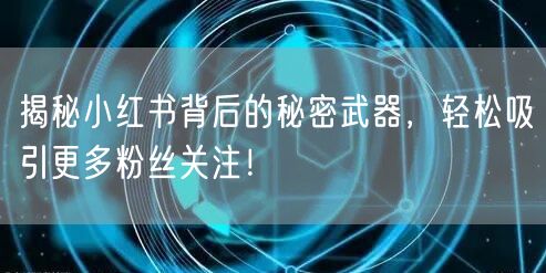 揭秘小红书背后的秘密武器，轻松吸引更多粉丝关注！