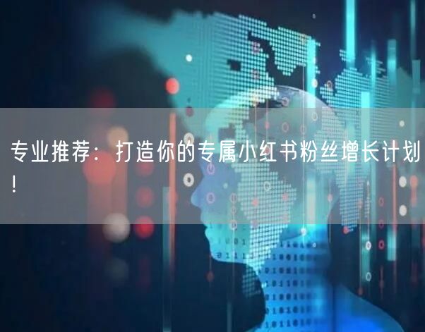 专业推荐：打造你的专属小红书粉丝增长计划！