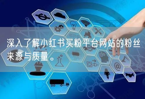 深入了解小红书买粉平台网站的粉丝来源与质量。