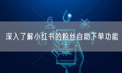 深入了解小红书的粉丝自助下单功能