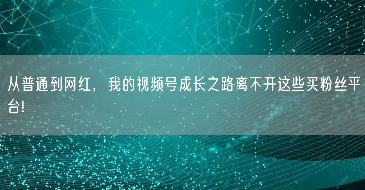 从普通到网红，我的视频号成长之路离不开这些买粉丝平台!