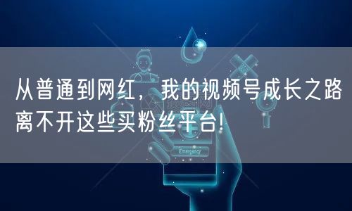 从普通到网红，我的视频号成长之路离不开这些买粉丝平台!