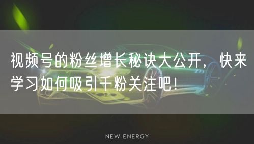 视频号的粉丝增长秘诀大公开，快来学习如何吸引千粉关注吧！