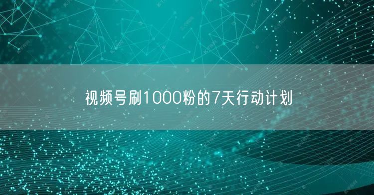 视频号刷1000粉的7天行动计划