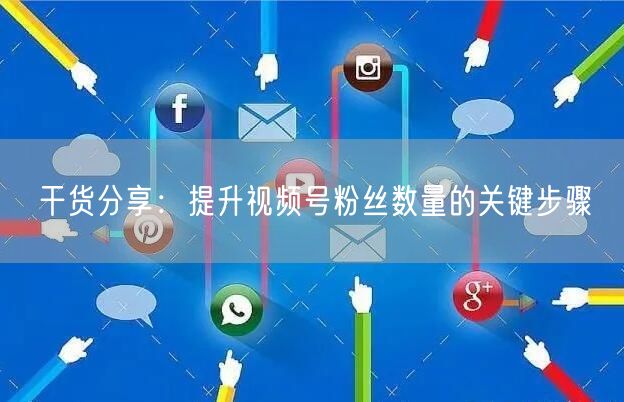 干货分享:提升视频号粉丝数量的关键步骤