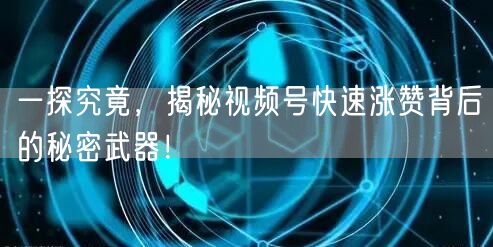 一探究竟，揭秘视频号快速涨赞背后的秘密武器！