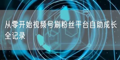 从零开始视频号刷粉丝平台自助成长全记录