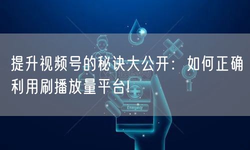 提升视频号的秘诀大公开：如何正确利用刷播放量平台!